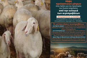 Παρατείνονται τα προληπτικά μέτρα για την ευλογιά των αιγοπροβάτων στην Κρήτη