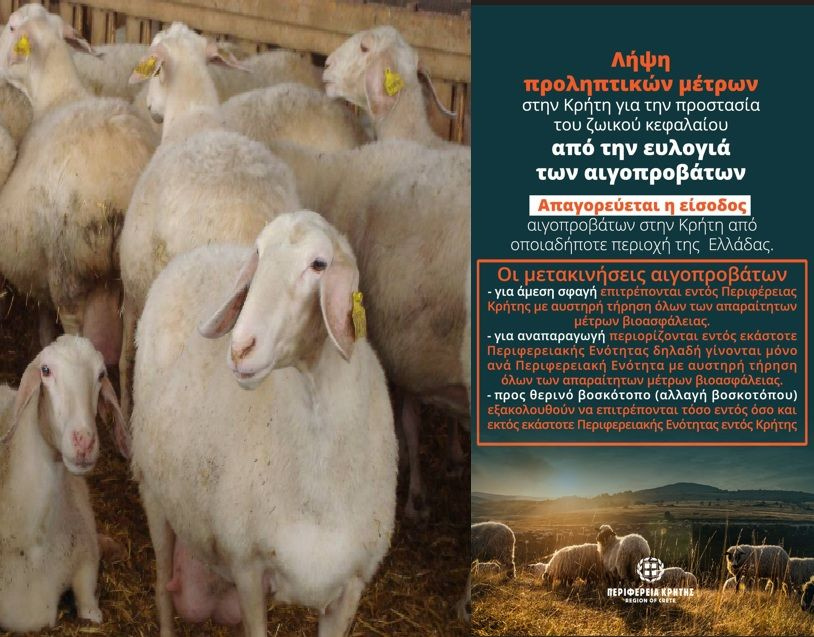 Παρατείνονται τα προληπτικά μέτρα για την ευλογιά των αιγοπροβάτων στην Κρήτη