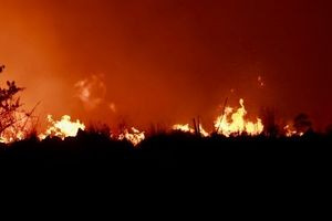 Αναστολή πράξεων αναγκαστικής εκτέλεσης για τους πυρόπληκτους του καλοκαιριού 2026