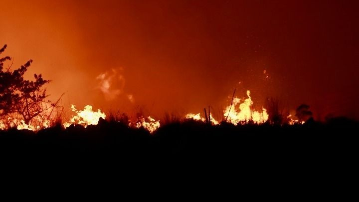 Αναστολή πράξεων αναγκαστικής εκτέλεσης για τους πυρόπληκτους του καλοκαιριού 2026