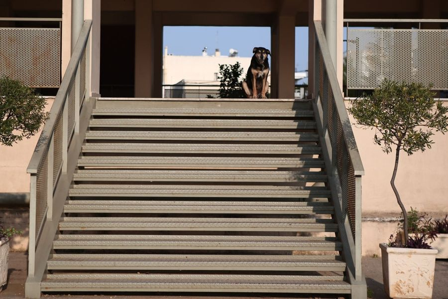 Θεσσαλονίκη: Μάχη για τη ζωή του δίνει ο 17χρονος μετά από καρδιακή ανακοπή έξω από το σχολείο του