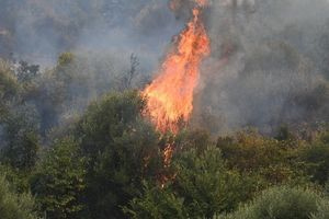 Πυρκαγιά στην Κάρυστο: Ενισχύθηκαν οι πυροσβεστικές δυνάμεις