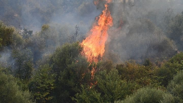 Πυρκαγιά στην Κάρυστο: Ενισχύθηκαν οι πυροσβεστικές δυνάμεις