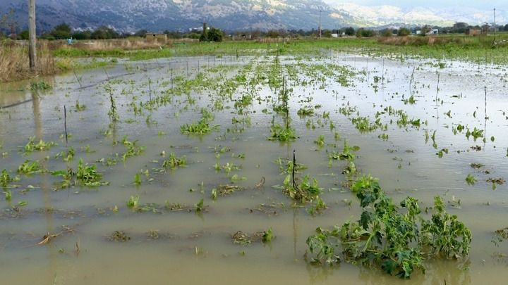 Έως τις 23 Οκτωβρίου οι αιτήσεις οικονομικής ενίσχυσης των πλημμυροπαθών στον δήμο Μυλοποτάμου στην Κρήτη
