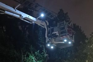 Θρίλερ τα ξημερώματα στο Μαξίμου – Μεγάλη μουριά κατέρρευσε στα κάγκελα, κλειστός ο δρόμος
