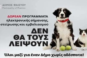 Δωρεάν προγράμματα ηλεκτρονικής σήμανσης, στείρωσης και εμβολιασμού για δεσποζόμενα ζώα συντροφιάς στον Δήμο Φαιστού