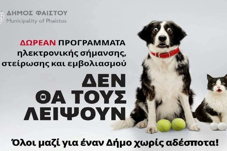 Δωρεάν προγράμματα ηλεκτρονικής σήμανσης, στείρωσης και εμβολιασμού για δεσποζόμενα ζώα συντροφιάς στον Δήμο Φαιστού