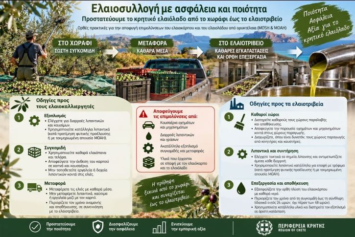Ελαιοσυλλογή με ασφάλεια και ποιότητα – Οδηγίες της Περιφέρειας Κρήτης για την προστασία του ελαιολάδου από επιμολύνσεις ορυκτελαίων