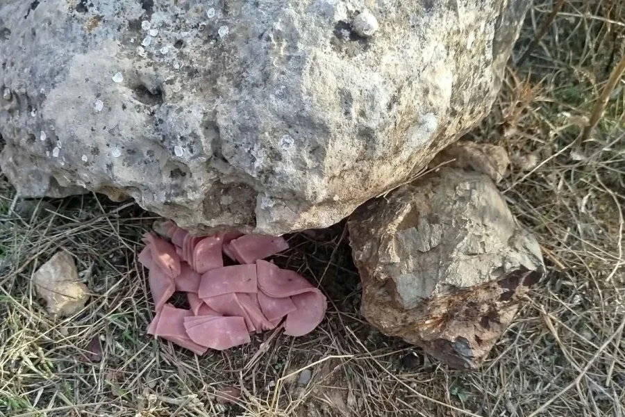 Μεσαρά: Πέταξαν φόλες με ζαμπόν μέσα στο Καταφύγιο Άγριας Ζωής – Μύριζαν φυτοφάρμακο