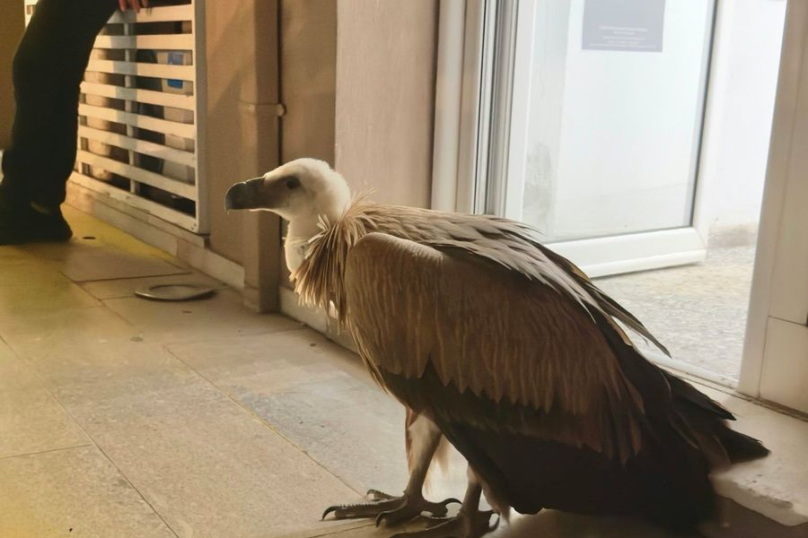 Χθες σήμερα αύριο 28/10/2026