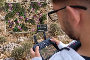 Drones και Τεχνητή Νοημοσύνη στα όρη για την παρακολούθηση κοπαδιών