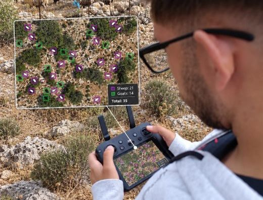 Drones και Τεχνητή Νοημοσύνη στα όρη για την παρακολούθηση κοπαδιών
