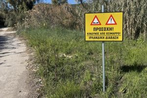 Διακοπή κυκλοφορίας σε ιρλανδικές διαβάσεις στο Ηράκλειο και σε επαρχιακούς δρόμους στο Ρέθυμνο