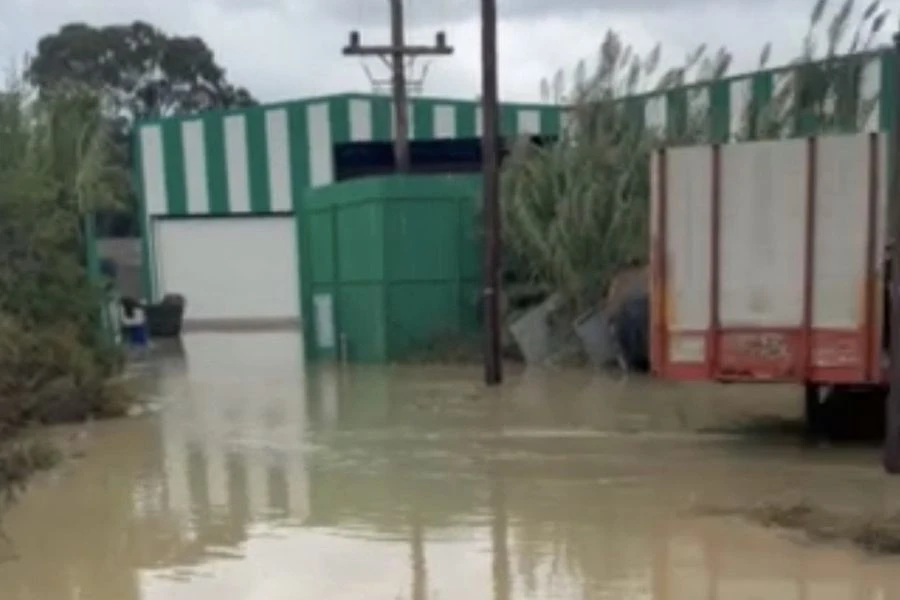 Κραυγή αγωνίας από τις επιχειρήσεις στη Φοινικιά: «Το νερό έφτασε το ένα μέτρο – Η υπομονή μας εξαντλήθηκε»