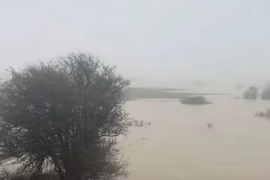 Καταστροφή χωρίς τέλος στο Οροπέδιο Λασιθίου – Σάπισαν οι καλλιέργειες, ξανά κάτω από το νερό ο κάμπος
