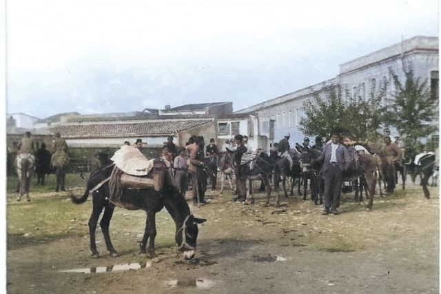 Άλογα και γαϊδουράκια στο Ηράκλειο, αρχές του 20ού αιώνα