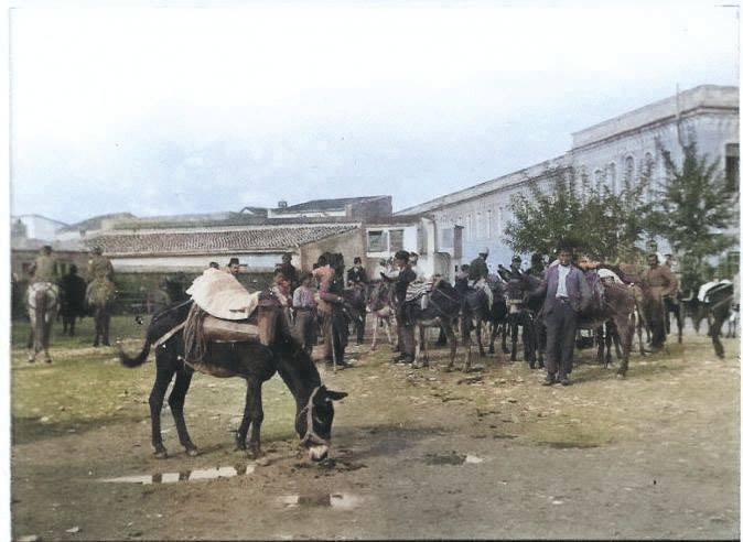 Άλογα και γαϊδουράκια στο Ηράκλειο, αρχές του 20ού αιώνα