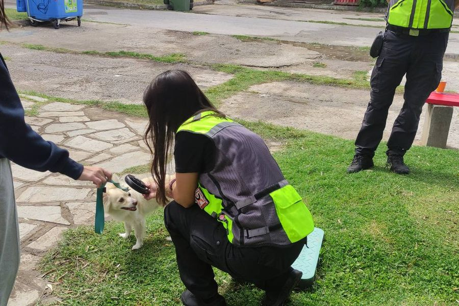 Θεσσαλονίκη: Πάνω από 40 πρόστιμα ύψους 14.300 ευρώ από τη Δημοτική Αστυνομία για παραβάσεις σχετικά με ζώα συντροφιάς