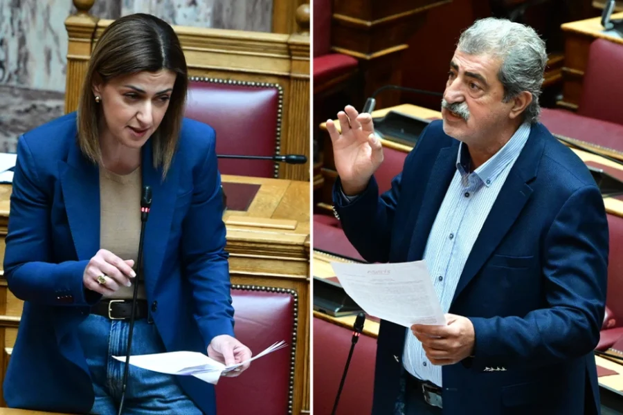 Αντιπαράθεση Αγαπηδάκη με Πολάκη στη Βουλή για τα 95 εκατ. ευρώ για την υγεία των παιδιών: «Εδώ δεν είναι κανάλι να κάνετε σόου»
