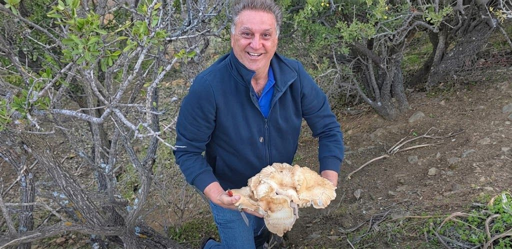 Μανιτάρι-γίγας 4 κιλών στη Μεσαρά – Η πρώτη εξόρμηση έκρυβε μια απίστευτη έκπληξη!