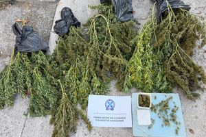 Θεσσαλονίκη: Συνελήφθη 63χρονος για κατοχή κάνναβης βάρους άνω των 12 κιλών
