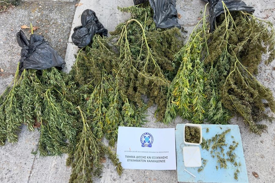 Θεσσαλονίκη: Συνελήφθη 63χρονος για κατοχή κάνναβης βάρους άνω των 12 κιλών