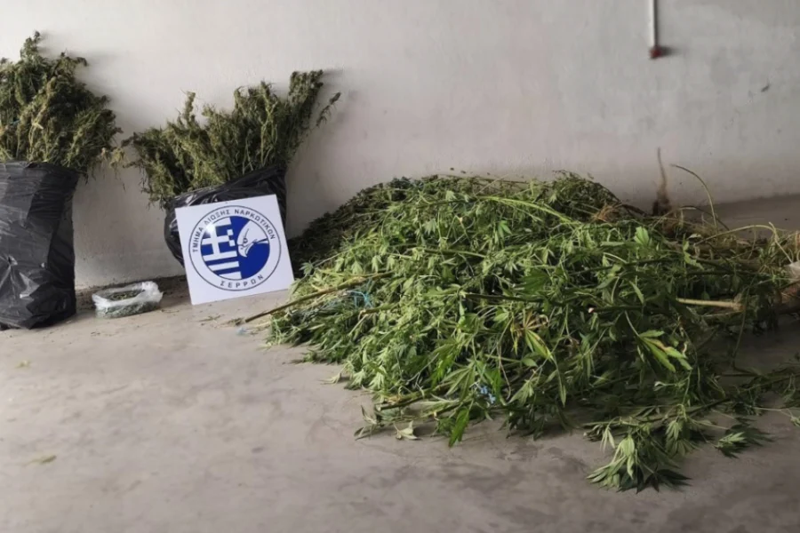 Πάνω από 17 κιλά ναρκωτικών ξετρύπωσε ο αστυνομικός σκύλος Roxy στις Σέρρες, μία σύλληψη