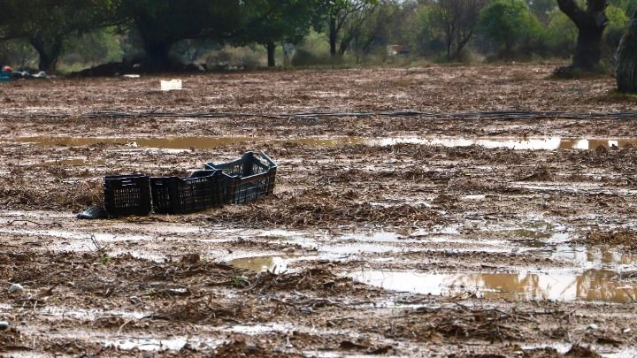 Ν. Ανδρουλάκης μετά την αυτοψία στο Οροπέδιο: «Η κυβέρνηση πρέπει να παραμερίσει τη γραφειοκρατία και να δράσει γρήγορα»