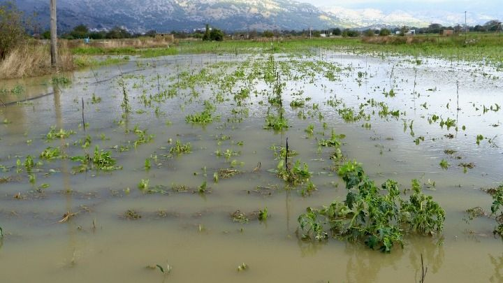 Ευ. Τουρνάς – Ζωνιανά: Να καταγραφούν οι ζημιές και να ξαναβρεί ο τόπος τους ρυθμούς του