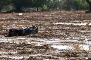 Κ. Κατσαφάδος: Εντός μηνός το νέο σύστημα αποζημιώσεων για φυσικές καταστροφές – Ενισχύσεις σε πέντε ημέρες